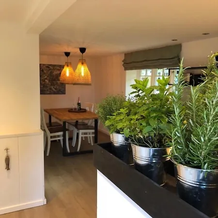 Alte Kate - Westkate Appartement Hohwacht